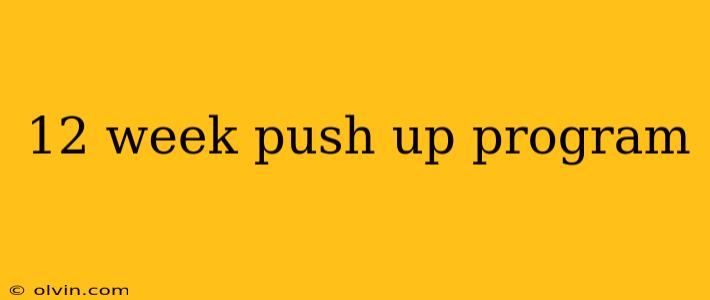 12 week push up program