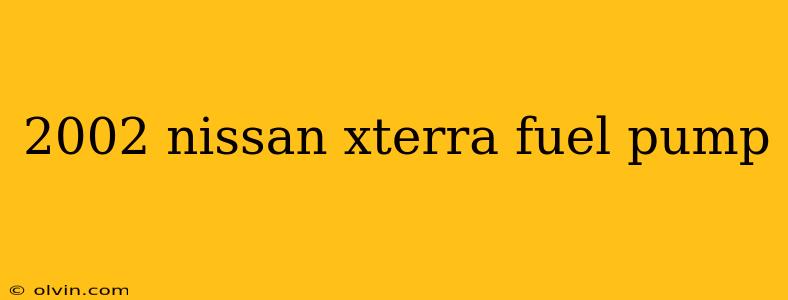 2002 nissan xterra fuel pump