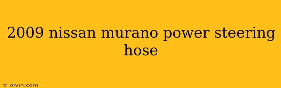 2009 nissan murano power steering hose