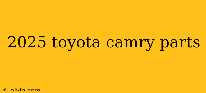 2025 toyota camry parts