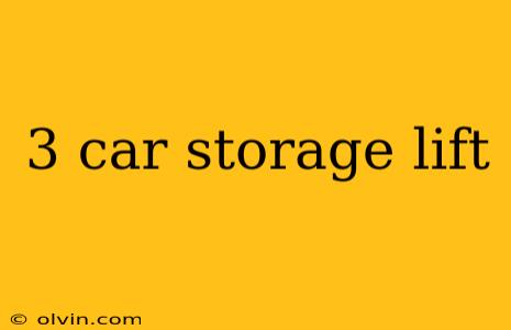 3 car storage lift