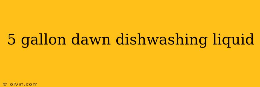 5 gallon dawn dishwashing liquid