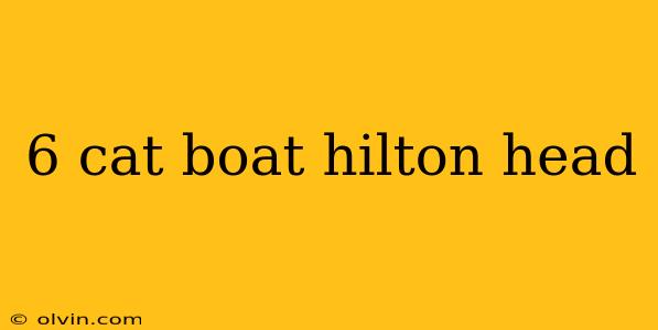 6 cat boat hilton head