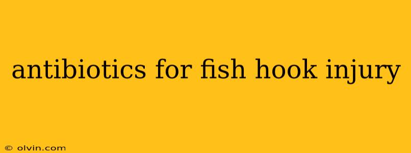 antibiotics for fish hook injury