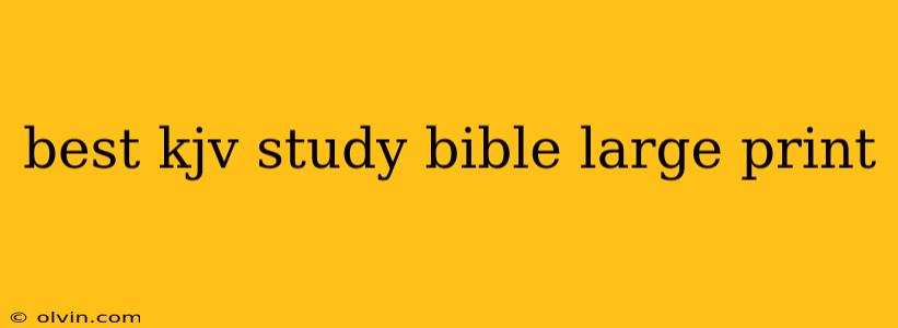 best kjv study bible large print