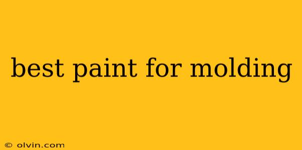 best paint for molding