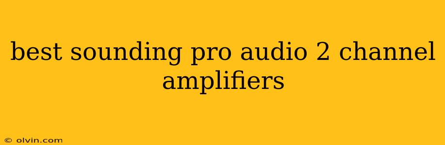 best sounding pro audio 2 channel amplifiers