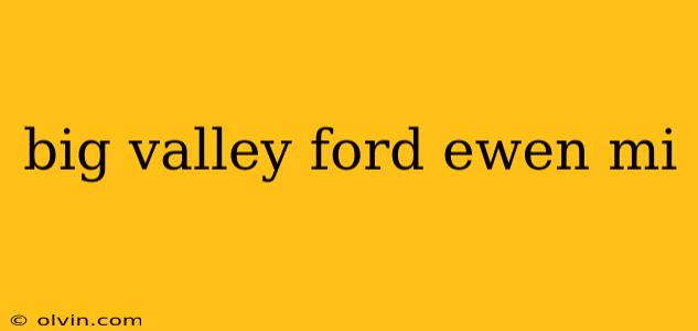 big valley ford ewen mi