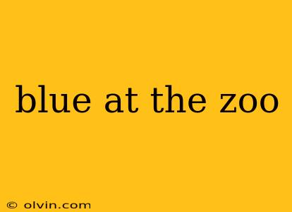 blue at the zoo