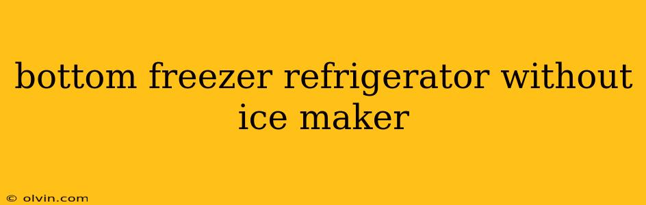 bottom freezer refrigerator without ice maker