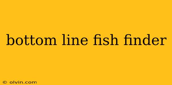 bottom line fish finder