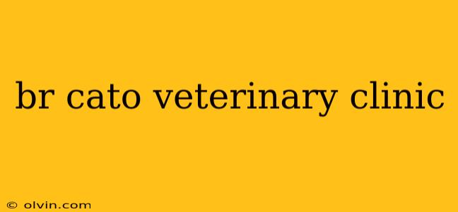 br cato veterinary clinic