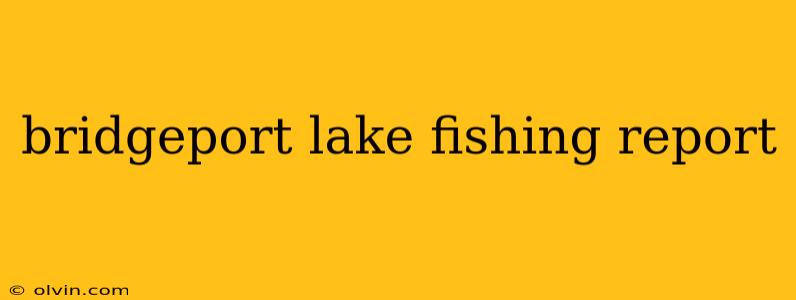 bridgeport lake fishing report