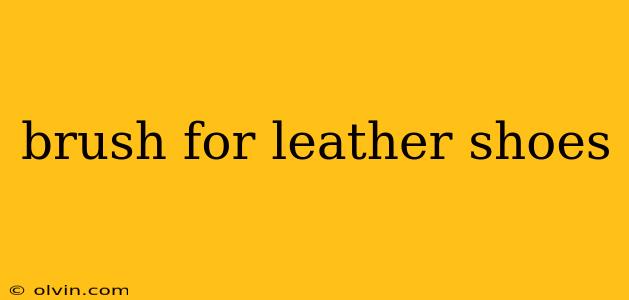 brush for leather shoes