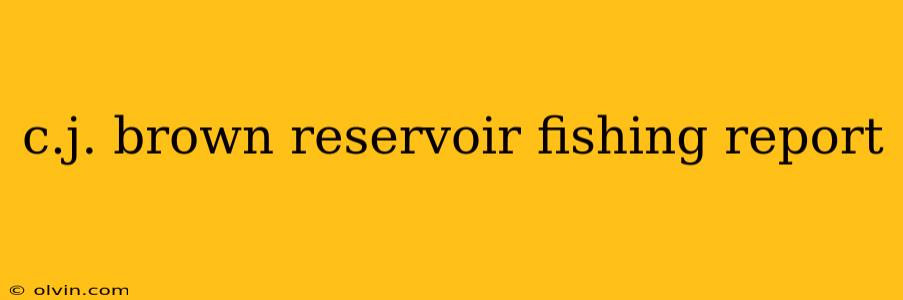 c.j. brown reservoir fishing report