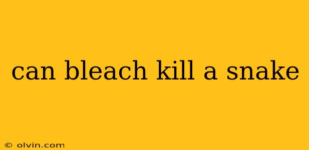 can bleach kill a snake