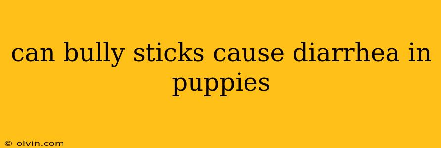 can bully sticks cause diarrhea in puppies