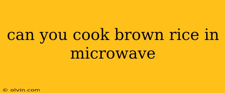 can you cook brown rice in microwave