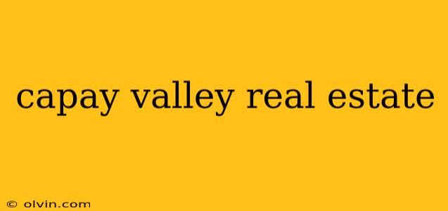 capay valley real estate