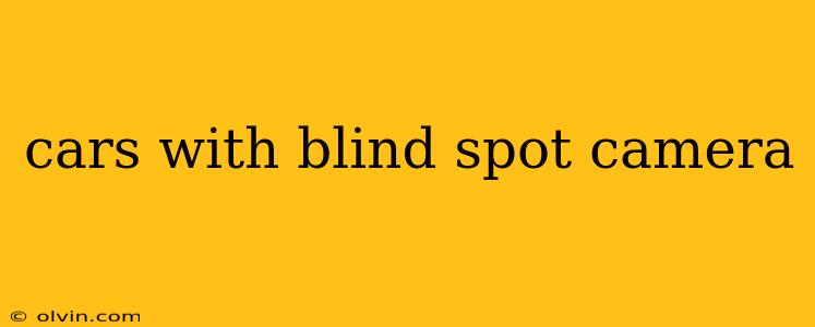 cars with blind spot camera