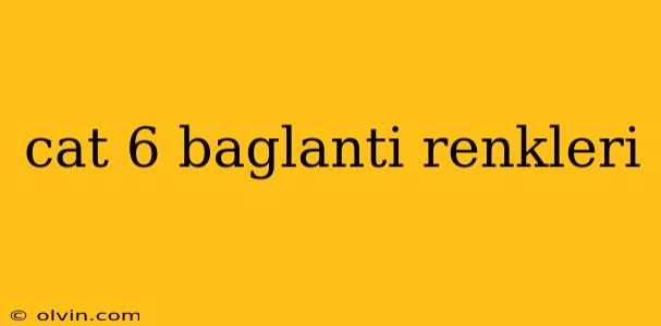 cat 6 baglanti renkleri