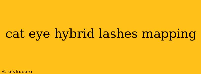 cat eye hybrid lashes mapping