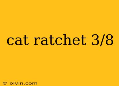 cat ratchet 3/8