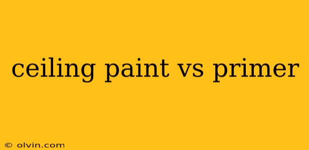 ceiling paint vs primer