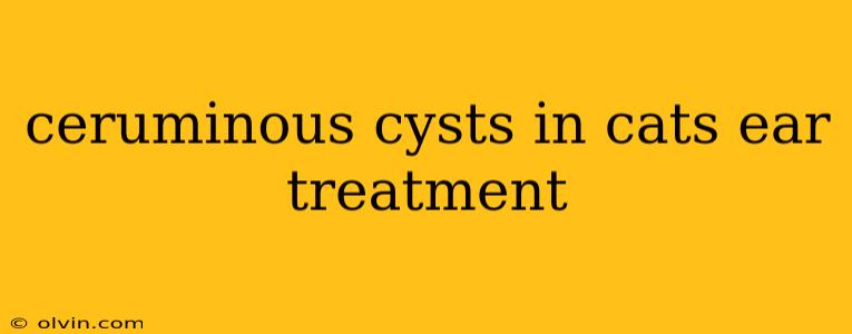 ceruminous cysts in cats ear treatment