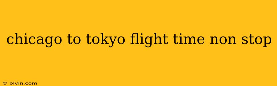 chicago to tokyo flight time non stop