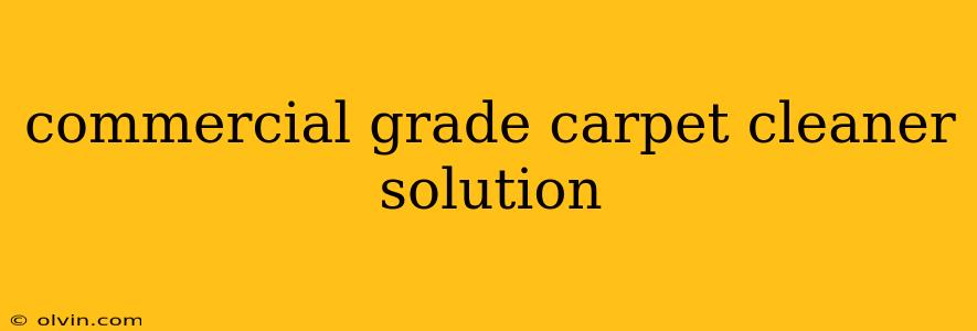 commercial grade carpet cleaner solution