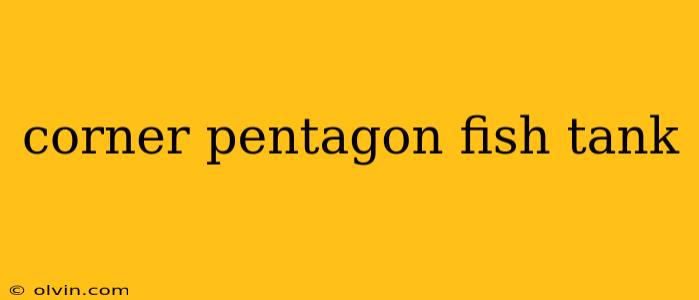 corner pentagon fish tank