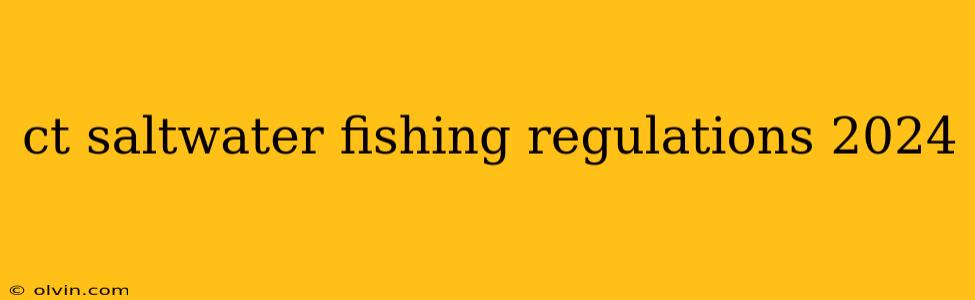 ct saltwater fishing regulations 2024