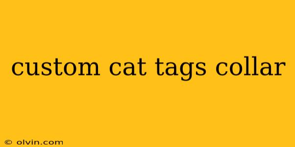 custom cat tags collar