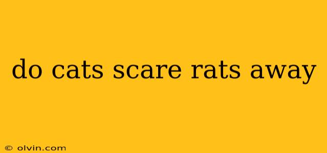 do cats scare rats away