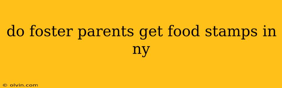 do foster parents get food stamps in ny