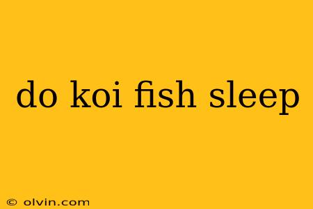 do koi fish sleep