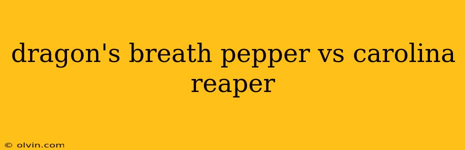 dragon's breath pepper vs carolina reaper