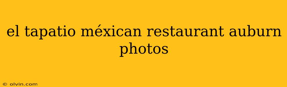 el tapatio méxican restaurant auburn photos