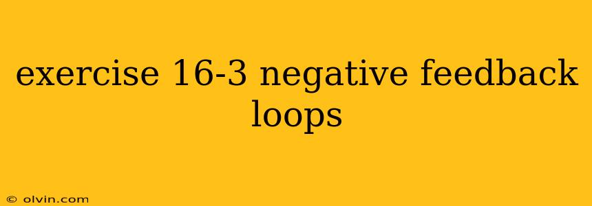 exercise 16-3 negative feedback loops