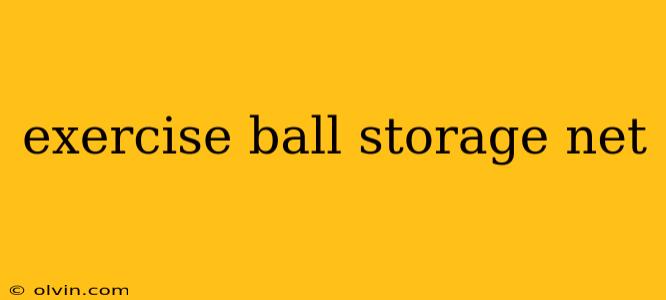 exercise ball storage net