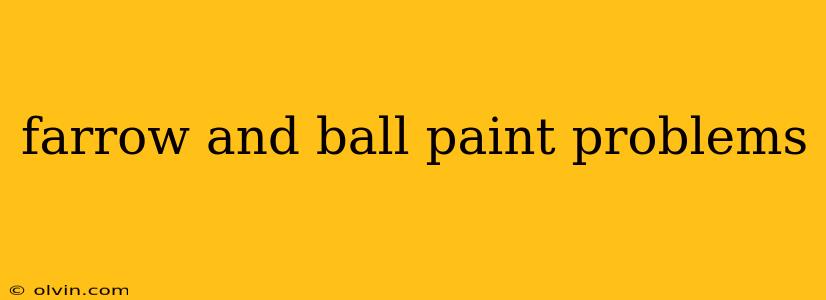 farrow and ball paint problems