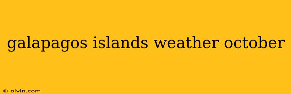 galapagos islands weather october