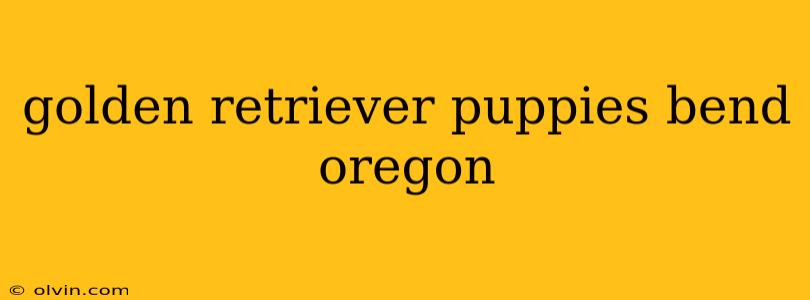 golden retriever puppies bend oregon