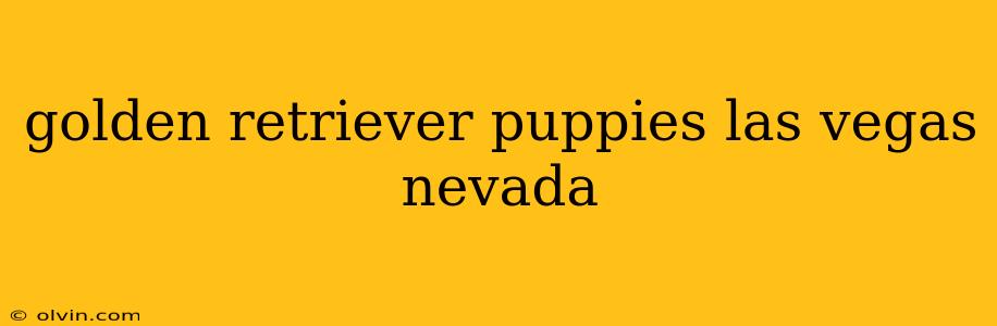 golden retriever puppies las vegas nevada