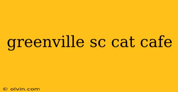 greenville sc cat cafe