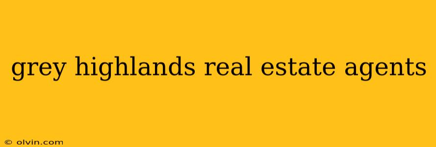 grey highlands real estate agents