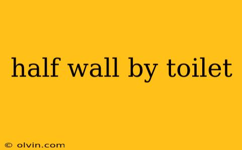 half wall by toilet