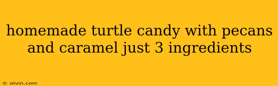 homemade turtle candy with pecans and caramel just 3 ingredients