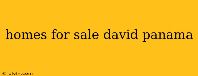 homes for sale david panama